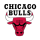 Chicago Bulls